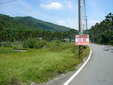 向善虎地