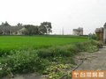 大林農舍-前後臨路/地形漂亮