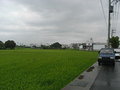 正台一線農地-雙面路/可分割