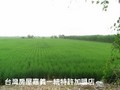 新埤快速道路農地-地形方正/好規劃