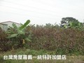 頂六漂亮農地A-出入方便/環境優美