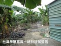 頂六漂亮農地B	-適蓋農舍/環境優美