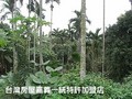 竹崎休閒農地	-視野廣/休閒度假皆宜