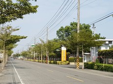 本月之星
