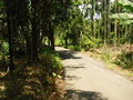 中華民俗村農建地-