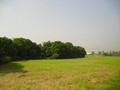 番子寮農地-