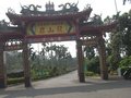 觀景林地
