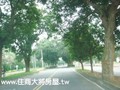 中正大學建地-中正大學建地