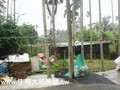 番路農舍用地-番路農舍用地