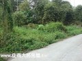 嘉義番路土地 - 仁義潭環湖休閒旱地