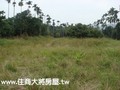 內埔國小農地-內埔國小農地