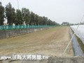 高鐵站都計農地-高鐵站都計農地