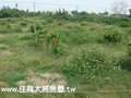嘉義大林土地 - 大林△窗農地