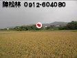 雲林縣林內鄉林內段農地-