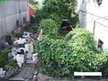 善化高中建地-