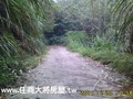 關子嶺景觀農地-關子嶺景觀農地