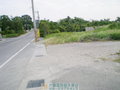 江南渡假村農地