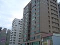 台南房屋 - 領航天下高級華廈