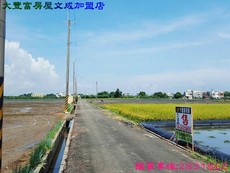 本月之星
