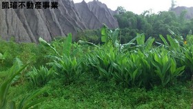 台南市龍琦區農地2-台南市龍崎區龍船段