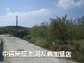 隘門獨樂樂農地