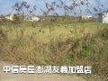 土地 - 澎湖‧隘门默默便宜农地(二)