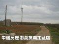 澎湖‧中屯享受生活農地