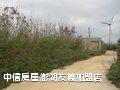 澎湖‧中屯閃亮亮美農地