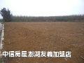 澎湖‧許家浪漫愛情海農地