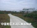 澎湖‧鐵線青青農地