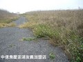 澎湖土地 - 澎湖‧鐵線牧場農地