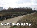 澎湖‧四維彩色陽光農地