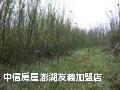 土地 - 澎湖‧西溪清境农地Ⅰ