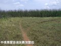 澎湖湖西土地 - 澎湖‧湖西阳光牧园农地