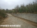 澎湖馬公土地 - 澎湖‧成功北酷斯拉農地