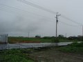 高雄新興土地 - 台南佳里番子寮農地