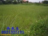 金沙鎮-中蘭建地-自然村建地