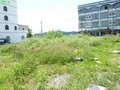 枋寮東海段建地-