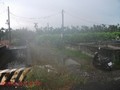 鹽埔莊農地AF0305-鹽埔莊農地
