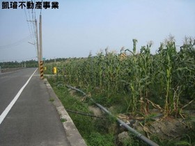 屏東新碑路邊-屏東縣新埤鄉南和路