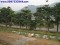 高樹湖濱散記集村農舍-屏東縣高樹鄉興農村78-16號