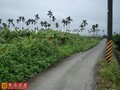 台東太平美麗方正農地-