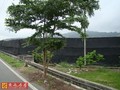 台東太平台九線農地-