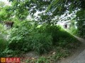 台東市區賺錢建地-