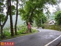 台東利吉路邊農地-台東縣卑南鄉