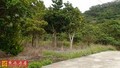 台東東河大馬優美農地-