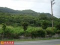 台東東河省道邊農地3-