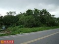  台東太平路建地-