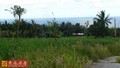 台東隆昌美麗農地-台東縣東河鎮