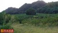 台東文化公園觀景農地-
